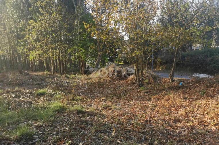 Terreno para Venda em Canelas Foto 29