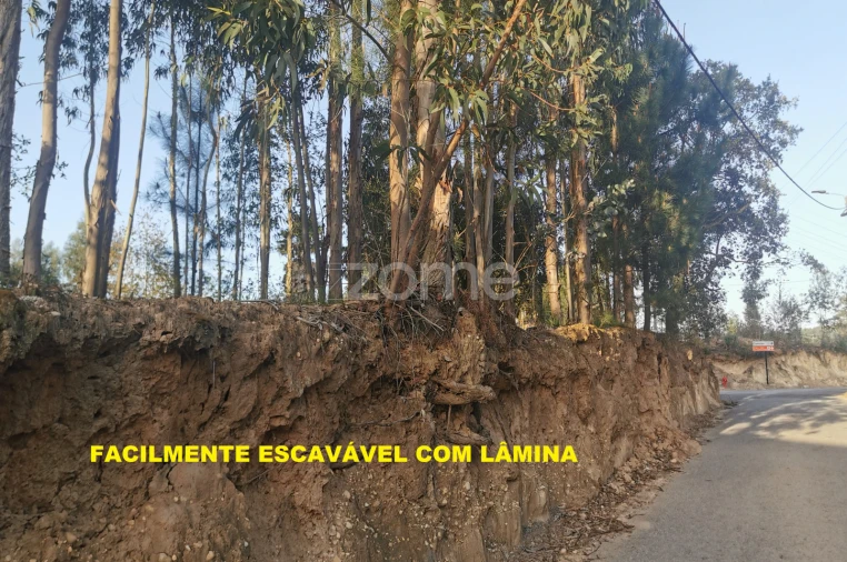 Terreno para Venda em Canelas Foto 25