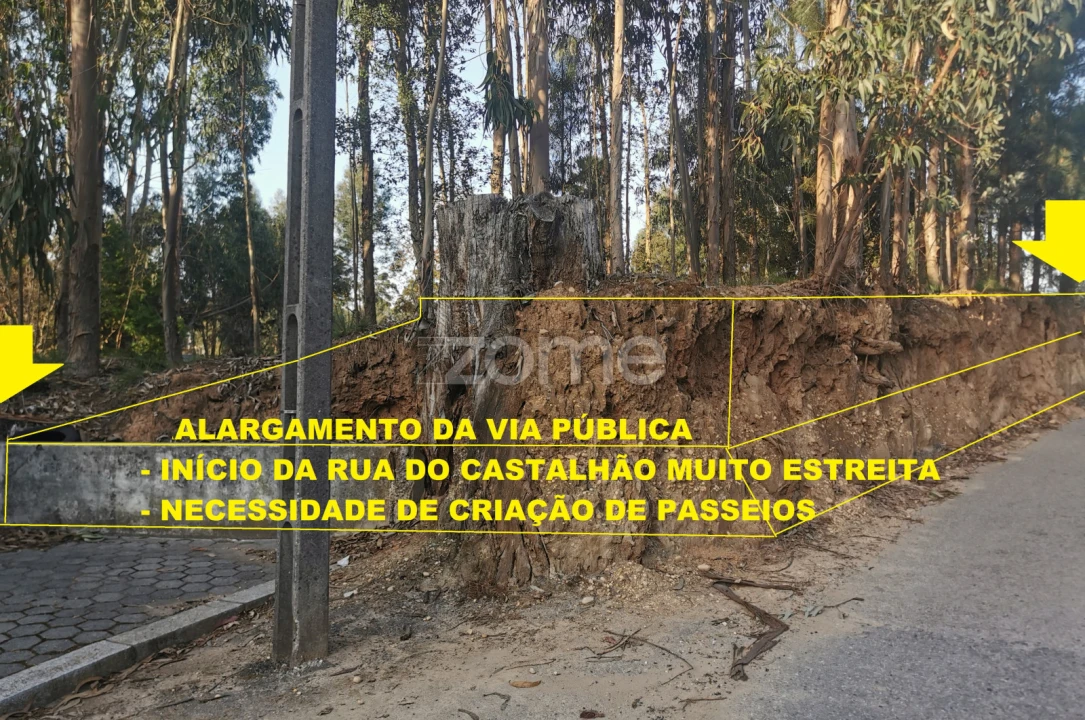 Terreno para Venda em Canelas Foto 26
