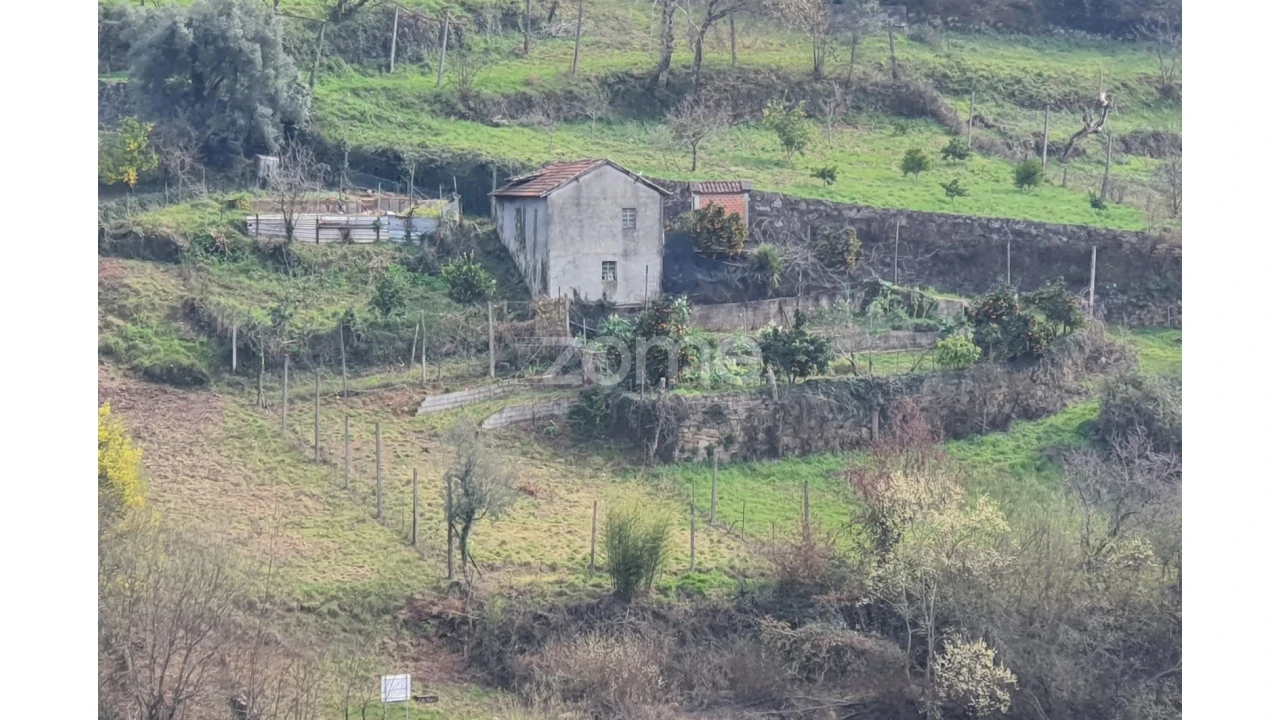 Terreno para Venda em Ferral Foto 3