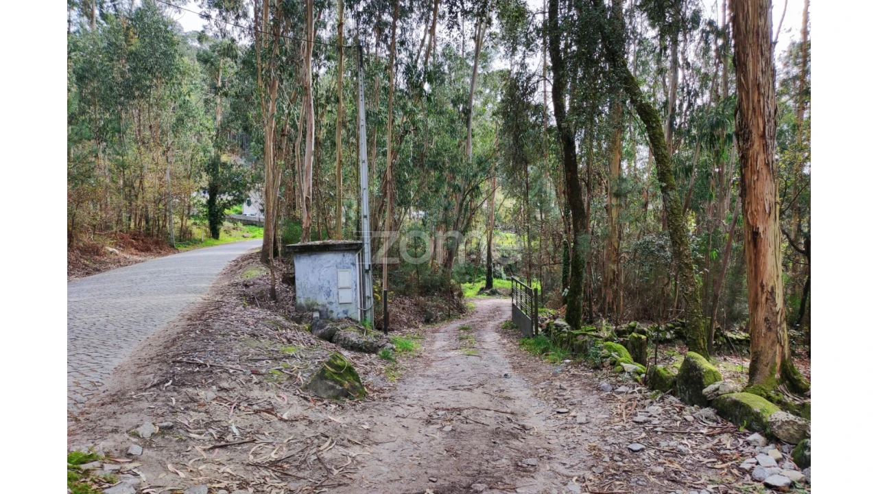 Terreno para Venda em Vale (São Cosme), Telhado e Portela Foto 6