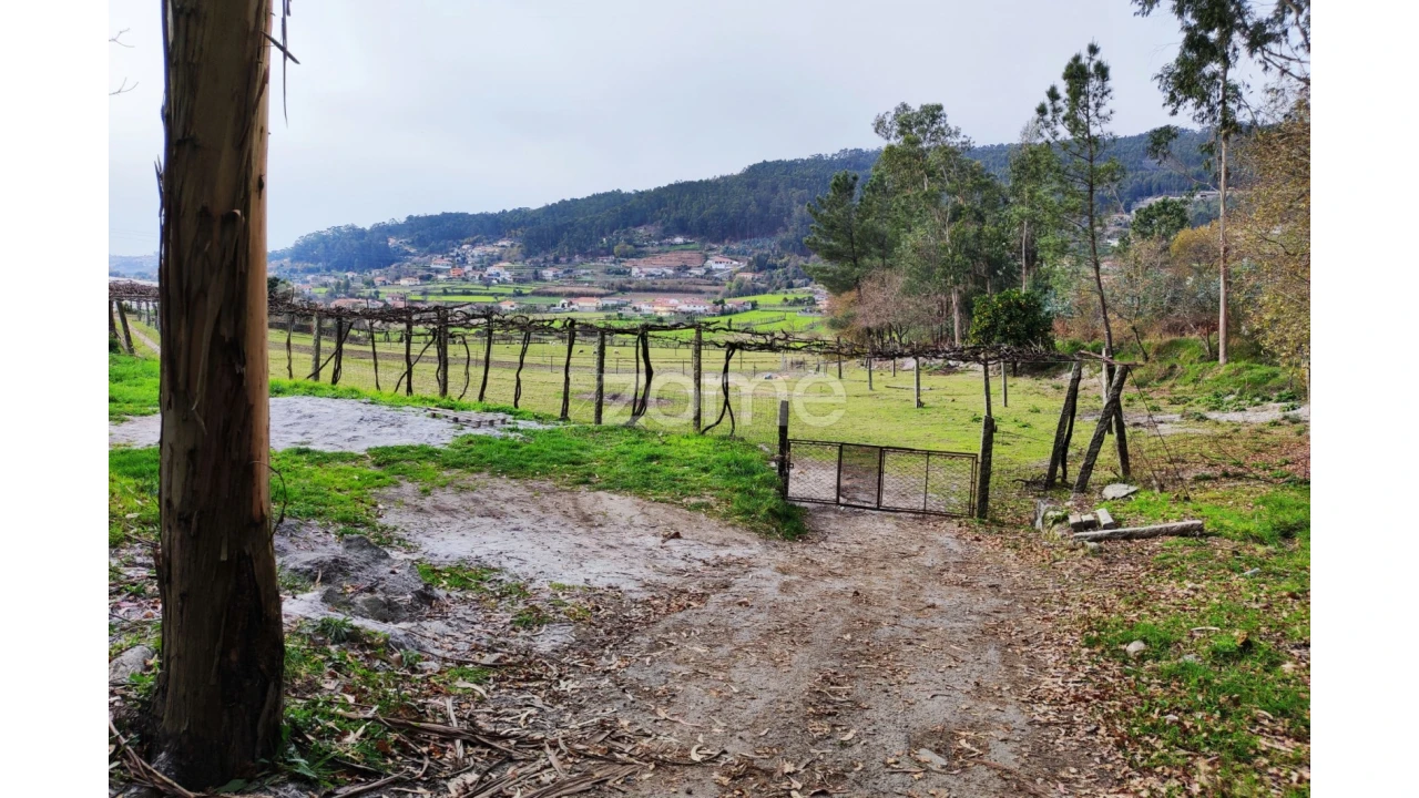 Terreno para Venda em Vale (São Cosme), Telhado e Portela Foto 4