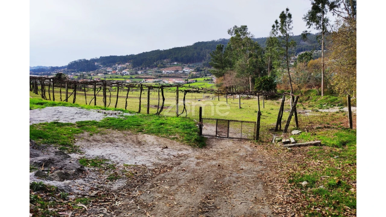 Terreno para Venda em Vale (São Cosme), Telhado e Portela Foto 8