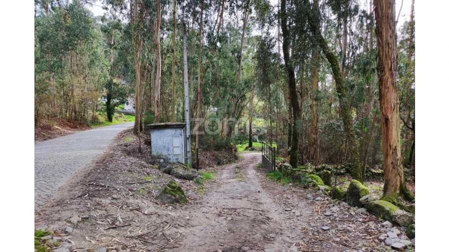 Terreno para Venda em Vale (São Cosme), Telhado e Portela Foto 6