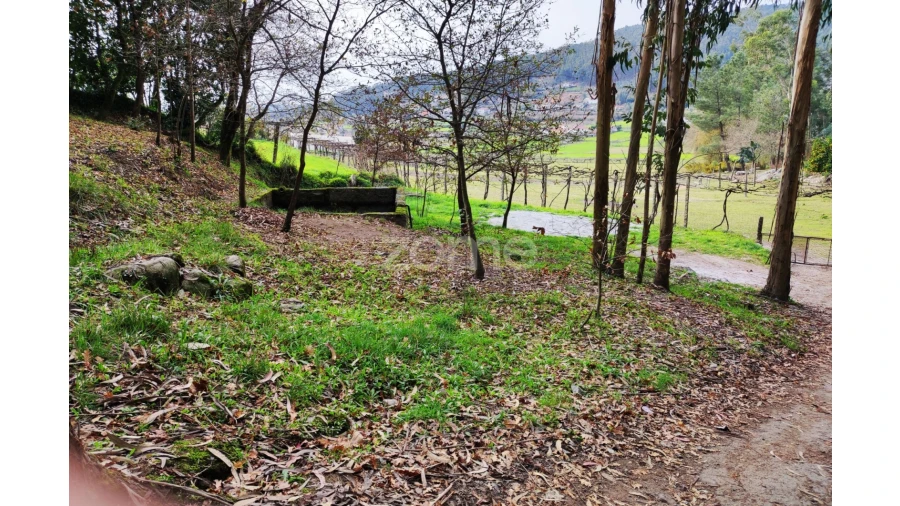 Terreno para Venda em Vale (São Cosme), Telhado e Portela Foto 7