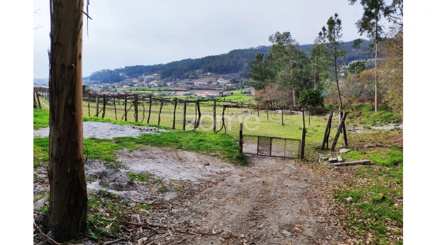 Terreno para Venda em Vale (São Cosme), Telhado e Portela Foto 4