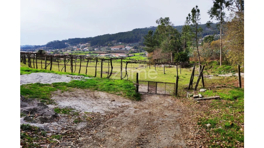 Terreno para Venda em Vale (São Cosme), Telhado e Portela Foto 8