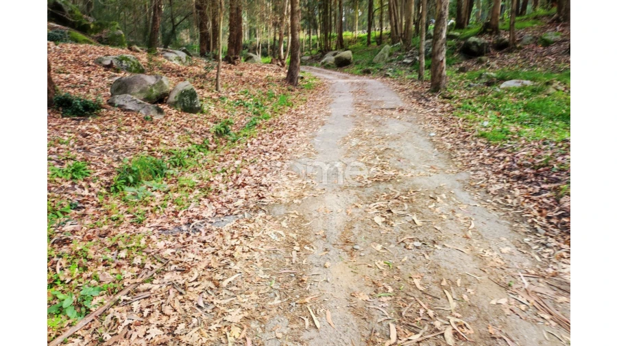 Terreno para Venda em Vale (São Cosme), Telhado e Portela Foto 11