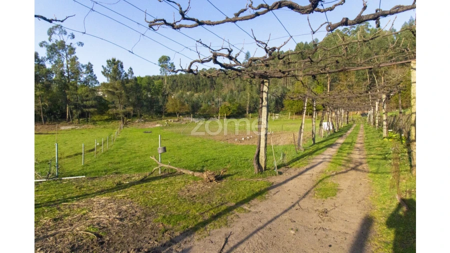 Terreno para Venda em Vale (São Cosme), Telhado e Portela Foto 9