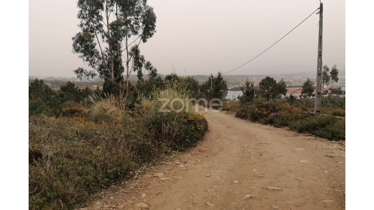 Terreno para Venda em Ribeirão Foto 7