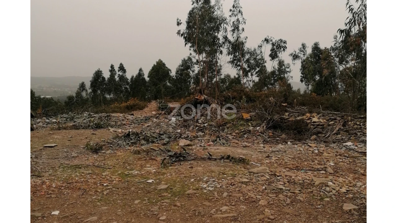Terreno para Venda em Ribeirão Foto 9