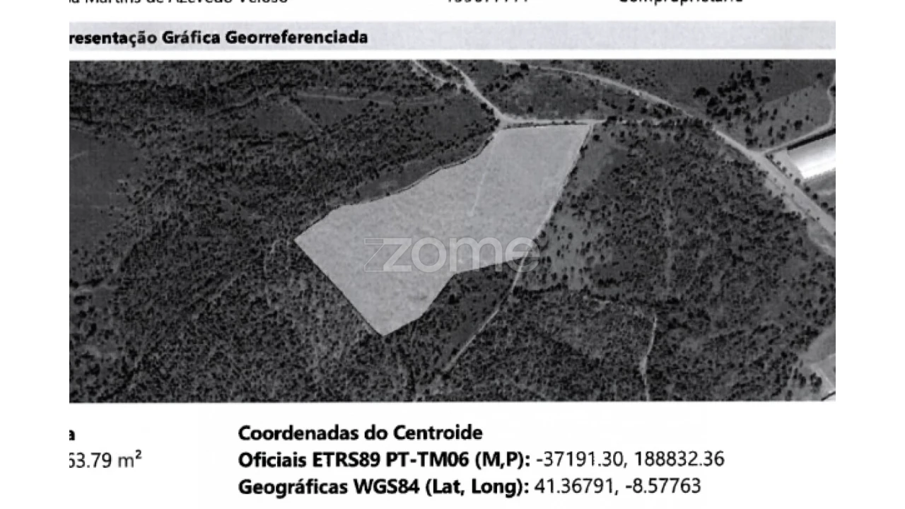 Terreno para Venda em Ribeirão Foto 2