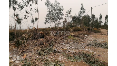 Terreno para Venda em Ribeirão