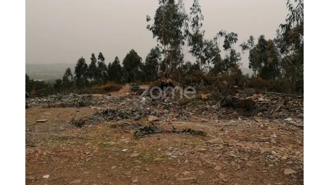 Terreno para Venda em Ribeirão
