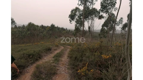 Terreno para Venda em Ribeirão