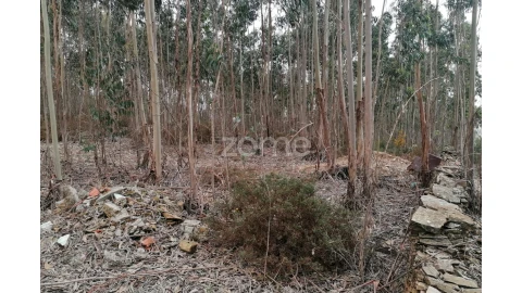 Terreno para Venda em Ribeirão