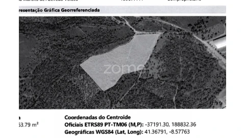 Terreno para Venda em Ribeirão