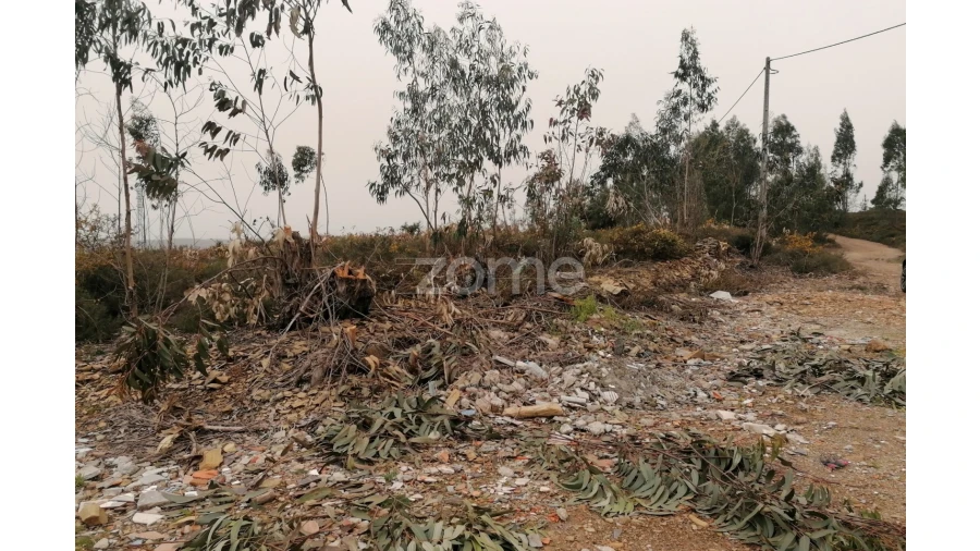 Terreno para Venda em Ribeirão Foto 5