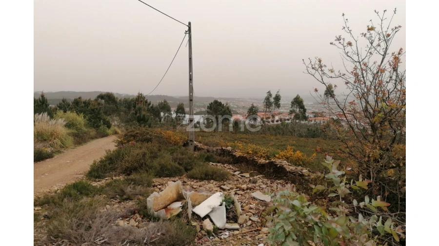 Terreno para Venda em Ribeirão Foto 6