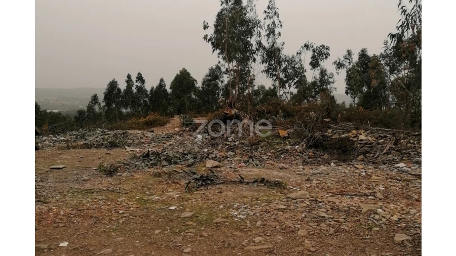 Terreno para Venda em Ribeirão Foto 9