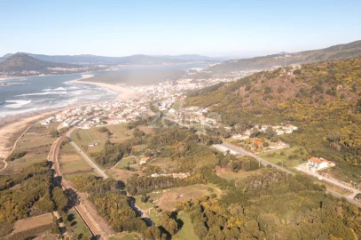 Terreno para Venda em Moledo e Cristelo