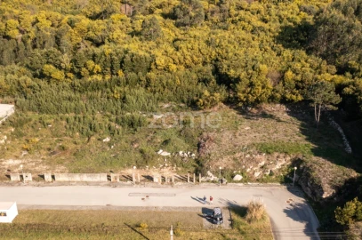 Terreno para Venda em Moledo e Cristelo