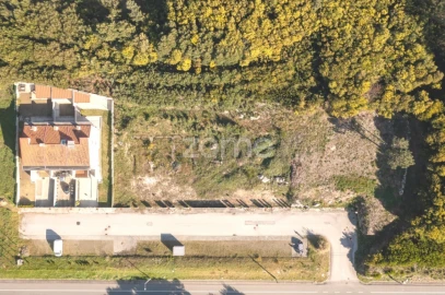 Terreno para Venda em Moledo e Cristelo