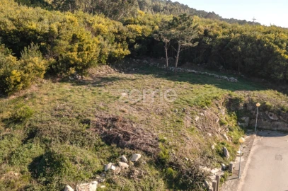 Terreno para Venda em Moledo e Cristelo