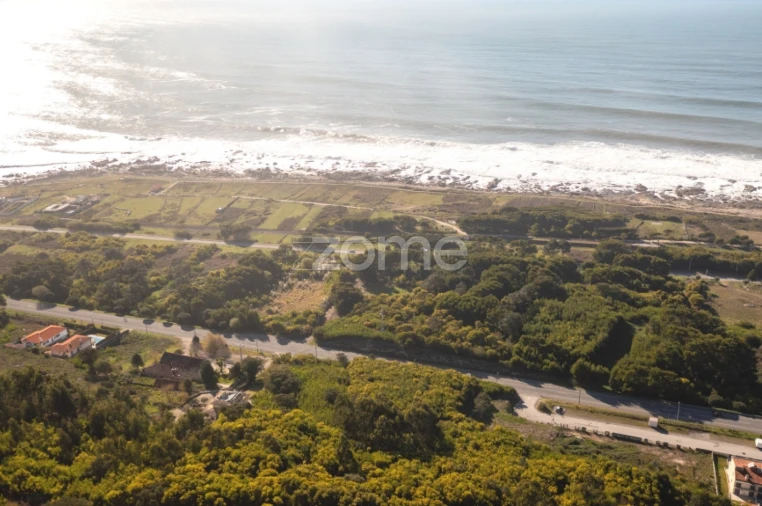 Terreno para Venda em Moledo e Cristelo Foto 16