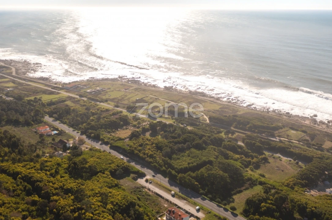 Terreno para Venda em Moledo e Cristelo Foto 4
