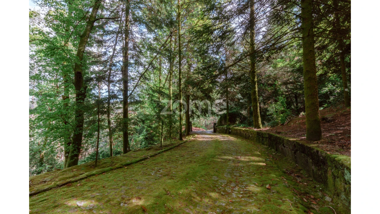 Moradia T5 para Venda em Caniçada e Soengas Foto 33