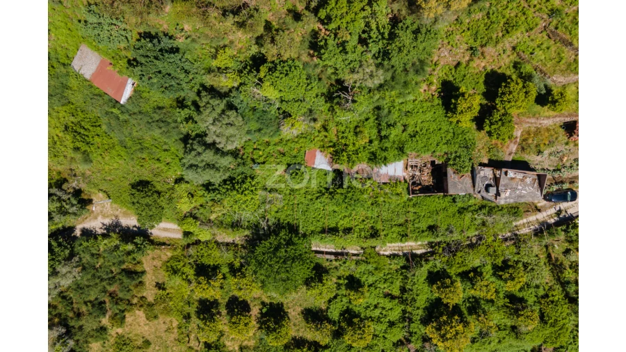 Terreno para Venda em Britelo Foto 8
