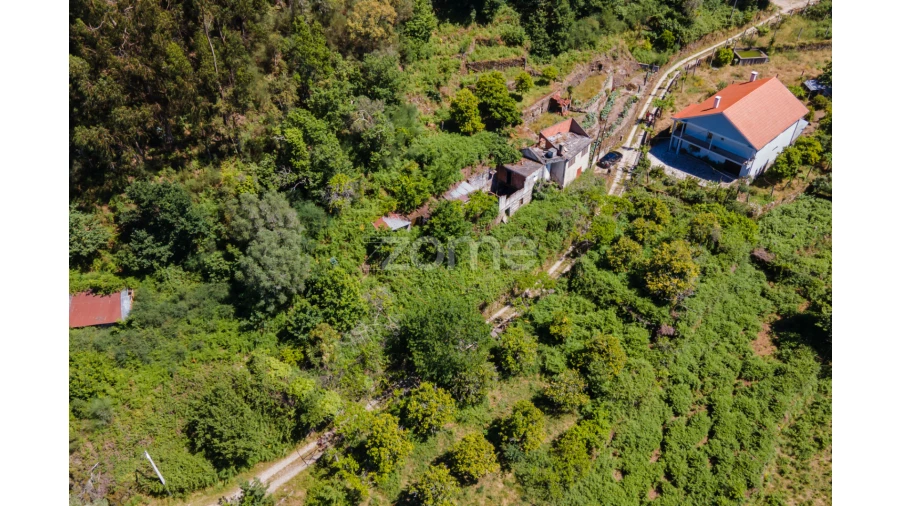 Terreno para Venda em Britelo Foto 7