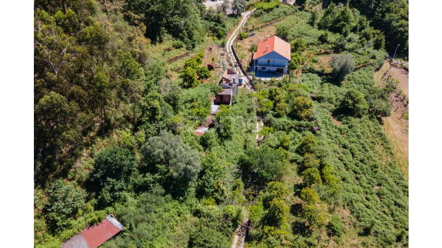 Terreno para Venda em Britelo Foto 9