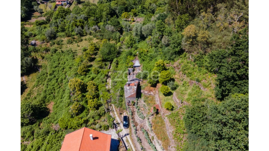 Terreno para Venda em Britelo Foto 12