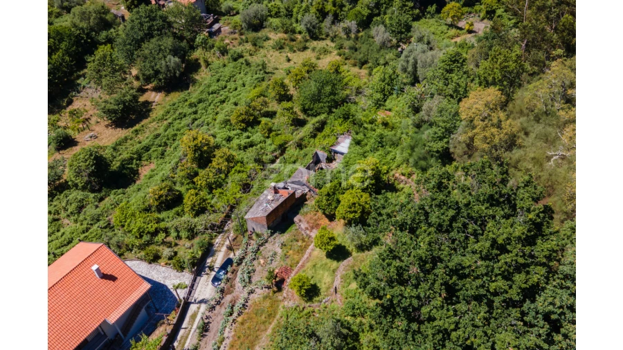 Terreno para Venda em Britelo Foto 16