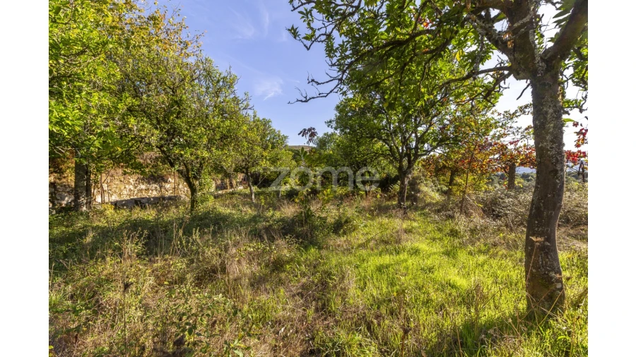 Terreno para Venda em Britelo Foto 6