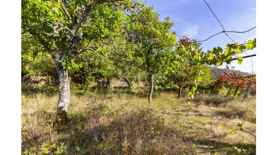 Terreno para Venda em Britelo
