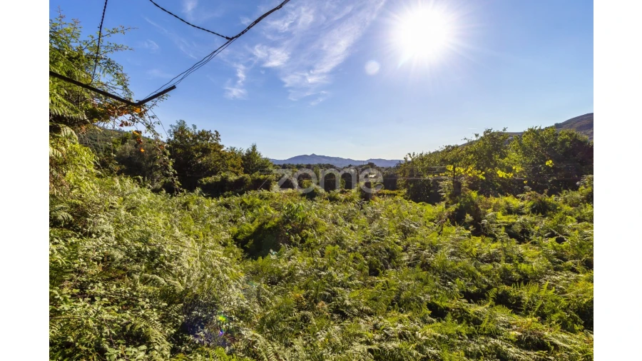 Terreno para Venda em Britelo Foto 2