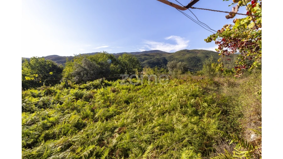 Terreno para Venda em Britelo Foto 4