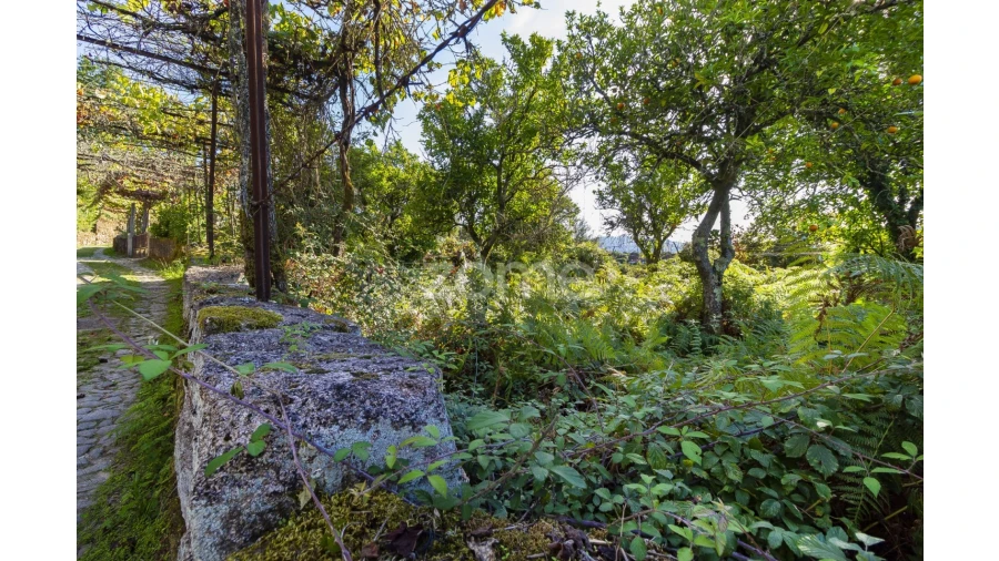 Terreno para Venda em Britelo Foto 5