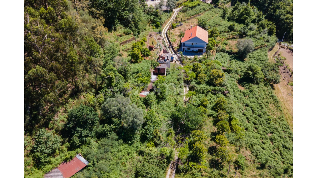 Terreno para Venda em Britelo Foto 9