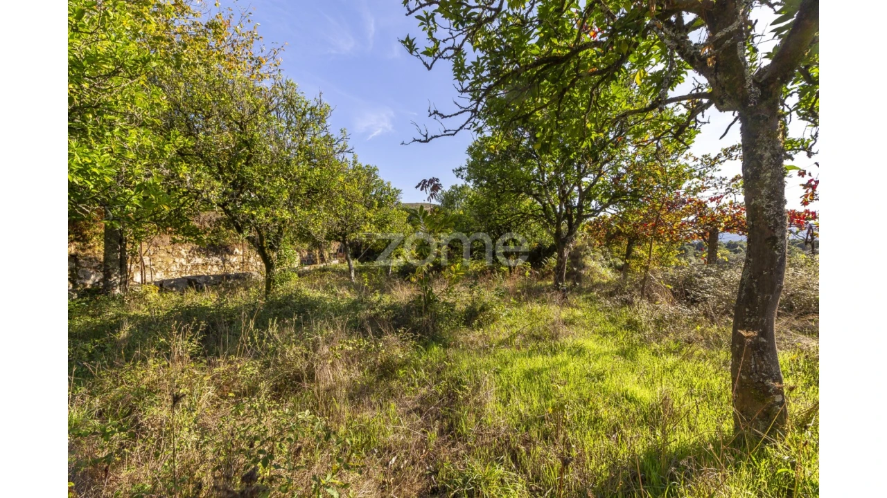Terreno para Venda em Britelo Foto 6