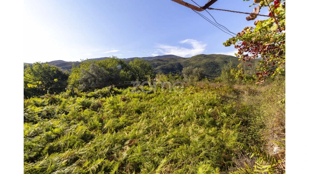 Terreno para Venda em Britelo Foto 4