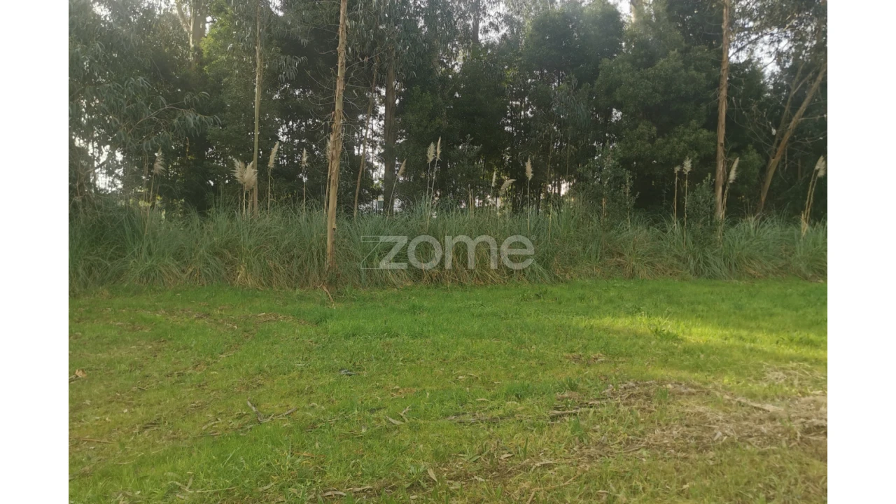 Terreno para Venda em Pedroso e Seixezelo Foto 21