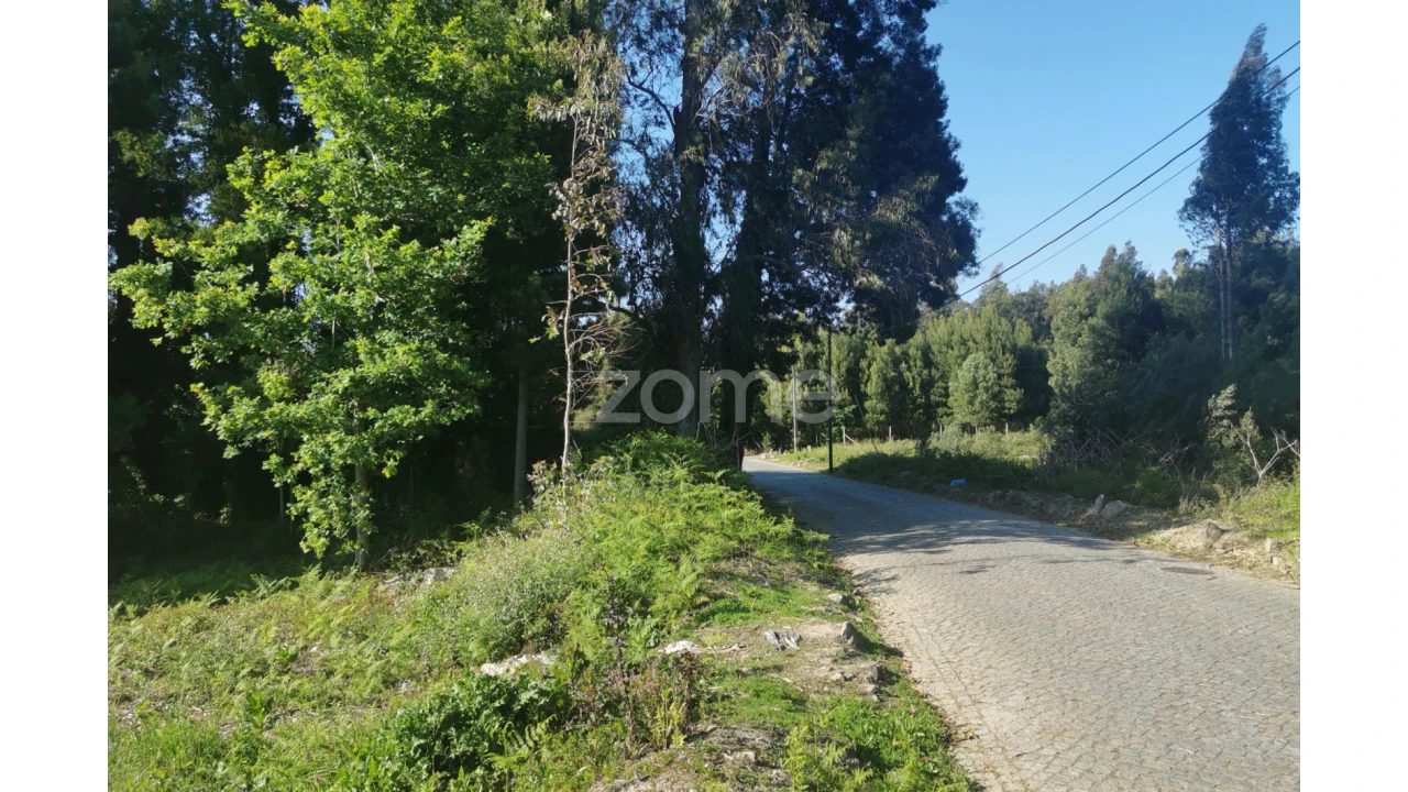 Terreno para Venda em Pedroso e Seixezelo Foto 15