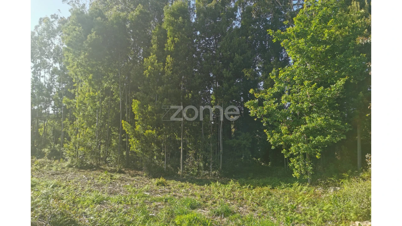 Terreno para Venda em Pedroso e Seixezelo Foto 11