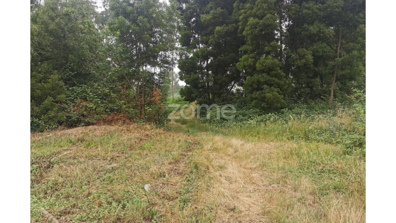 Terreno para Venda em Pedroso e Seixezelo Foto 32