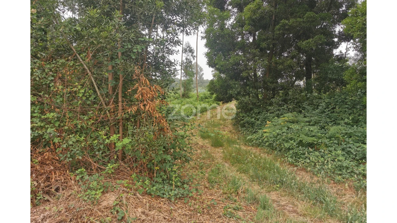 Terreno para Venda em Pedroso e Seixezelo Foto 34