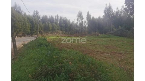 Terreno para Venda em Pedroso e Seixezelo